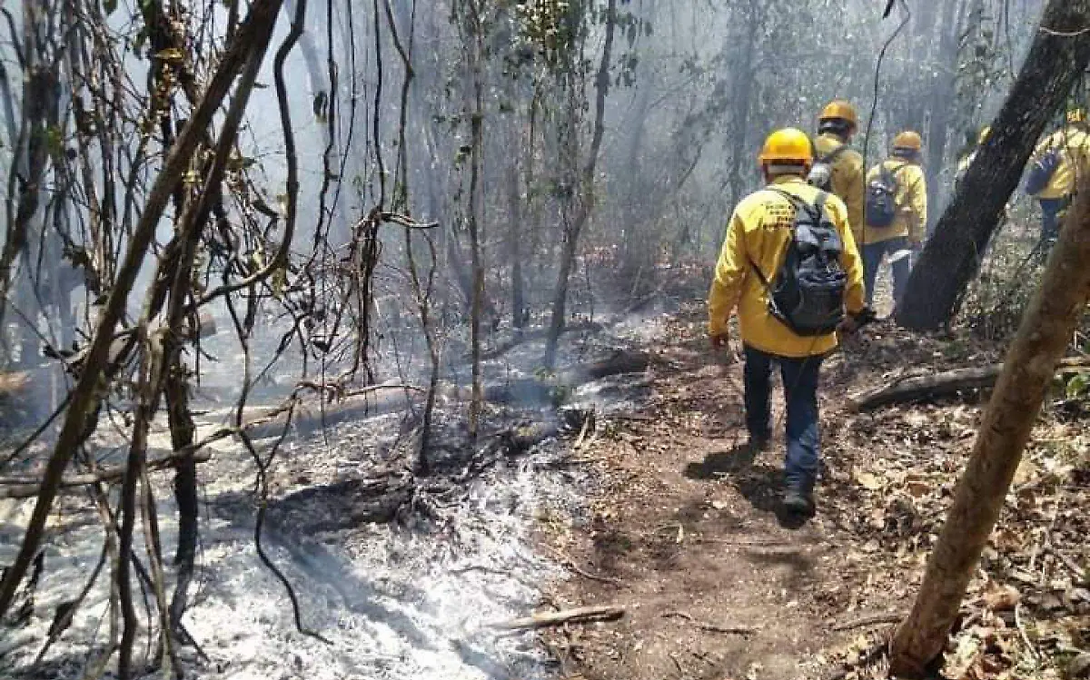 870550_Incendio Forestal Campeche-3_web